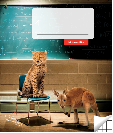 Math notebook, squared, 36 pages. Inner pages weight – 90 g/m2.