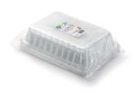Cake lid KADO, disposable, 34.5x25 cm, H5 cm, 5 pcs