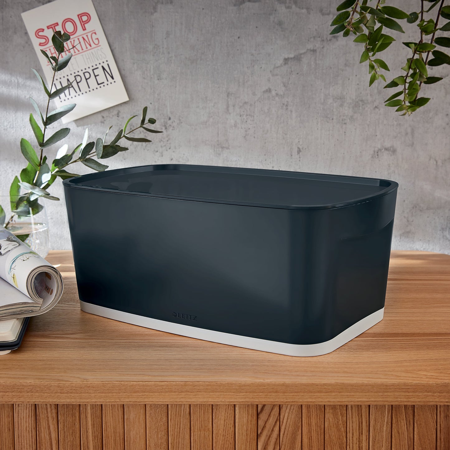 Daiktadėžė Cosy L:MyBox su dangteliu, maža, pilkos sp.