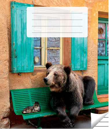 Lined notebook, 36 pages. Inner pages weight – 90 g/m2.
