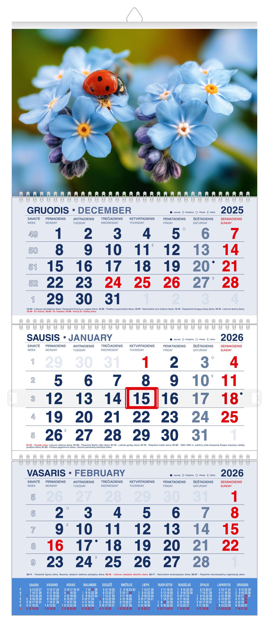 Pakabinamas kalendorius BORUŽĖLĖ, 2026, 3 dalys