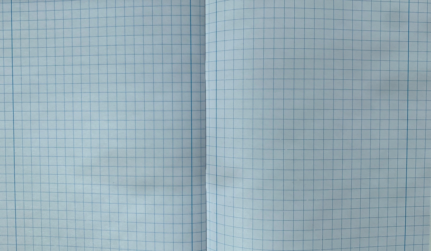 Sąsiuvinis TECHNOINFORM 1-2 klasei, A5, 12 lapų, 70 gsm, langeliais