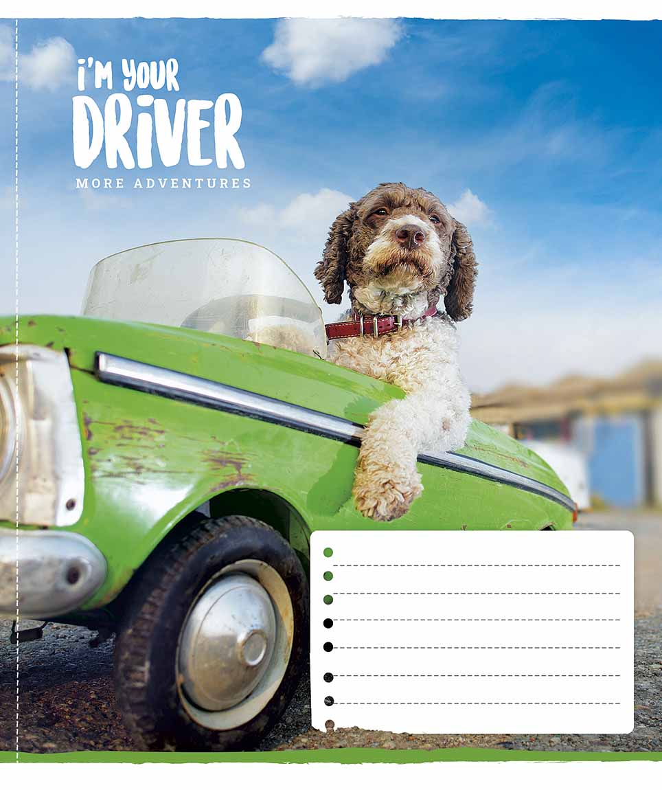 Sąsiuvinis Schoolboy, 12 lapų, 60 gsm, langeliais