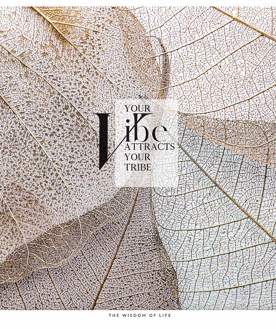 Sąsiuvinis Schoolboy, 80 lapų, langeliais, B5, 70 gsm