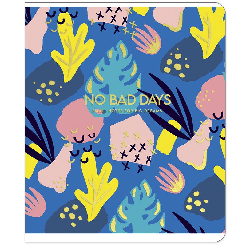 Segtas sąsiuvinis Schoolboy Genius, 48 lapų, 60 gsm, linijomis