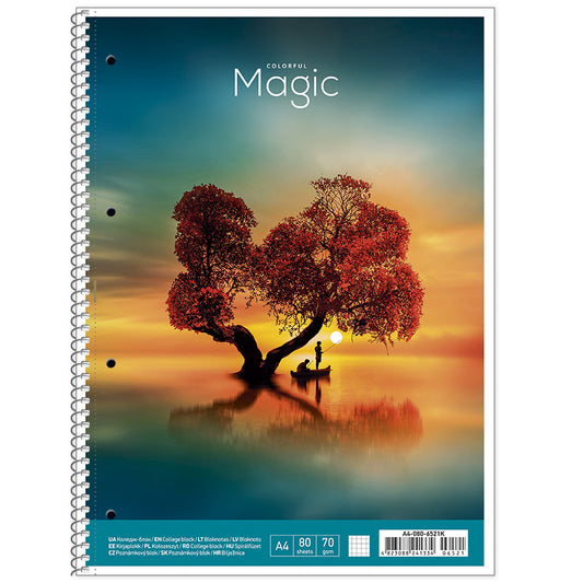 Sąsiuvinis Schoolboy, 80 lapų,  linijomis, A4+, 70 gsm