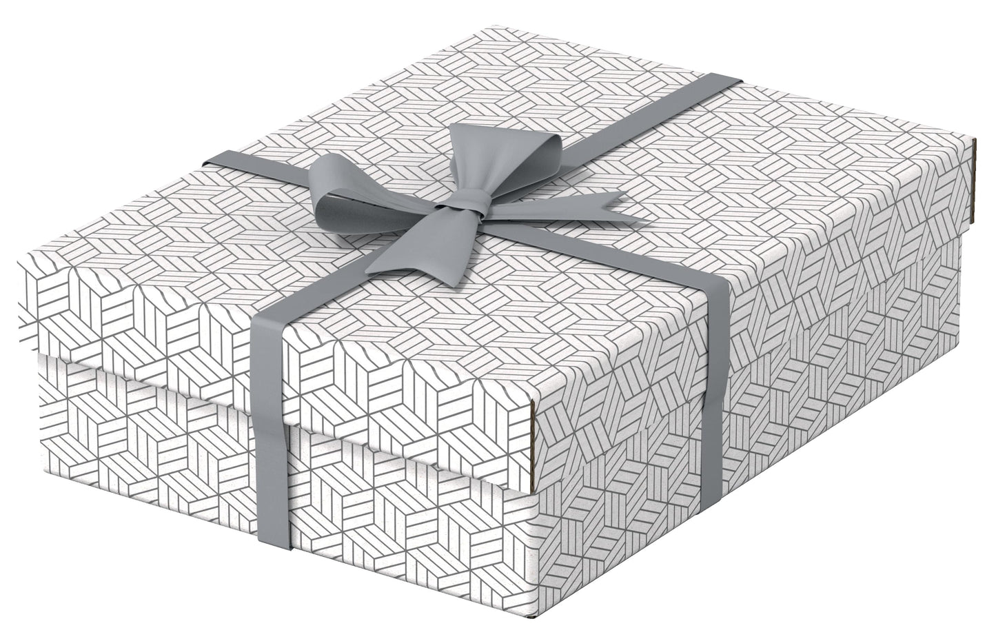 Daiktadėžė ESSELTE, su dangteliu, 265x100x360 balta-pilka (3vnt./pak.)