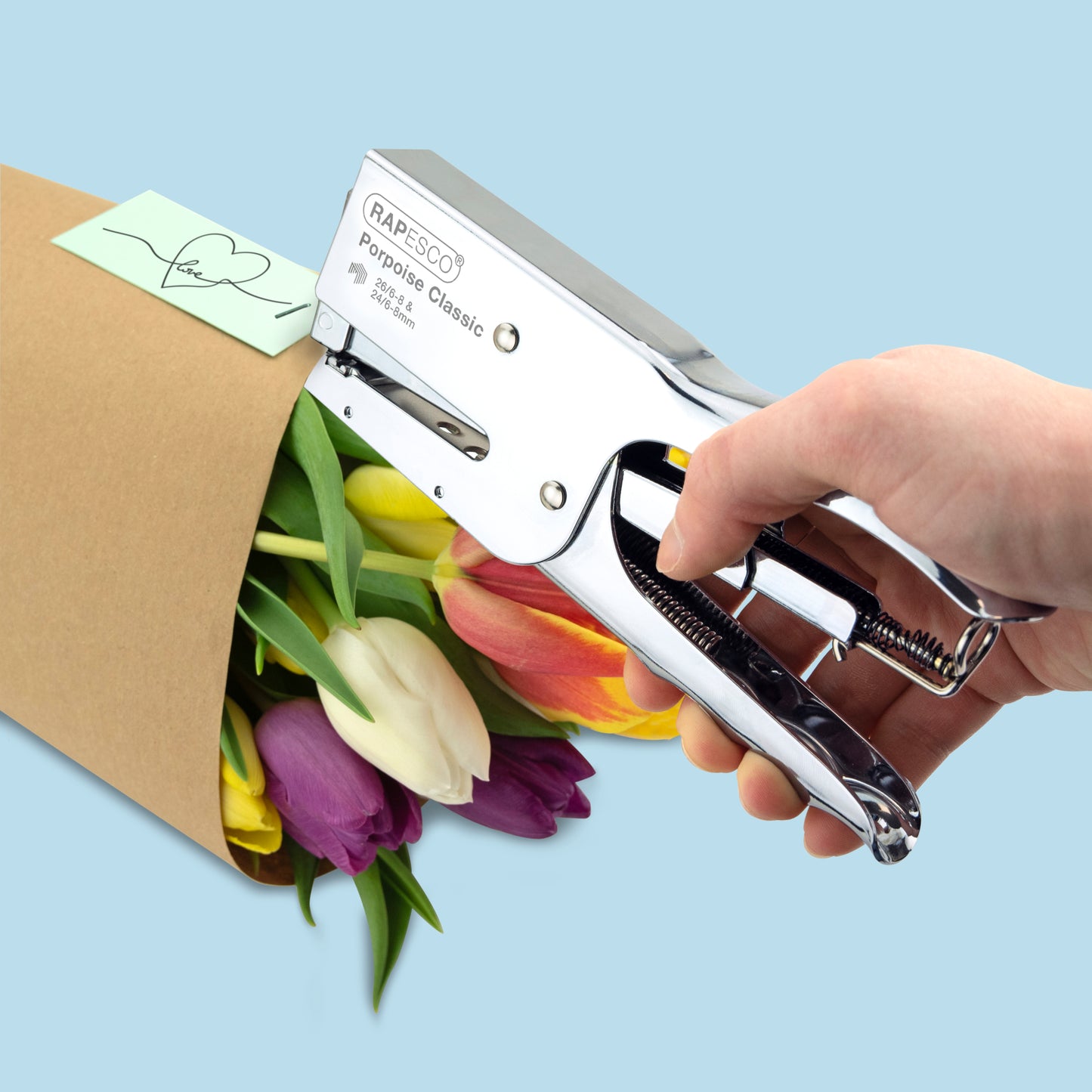 Segiklis RAPESCO Classic, sega 45 lapus, chromuotas