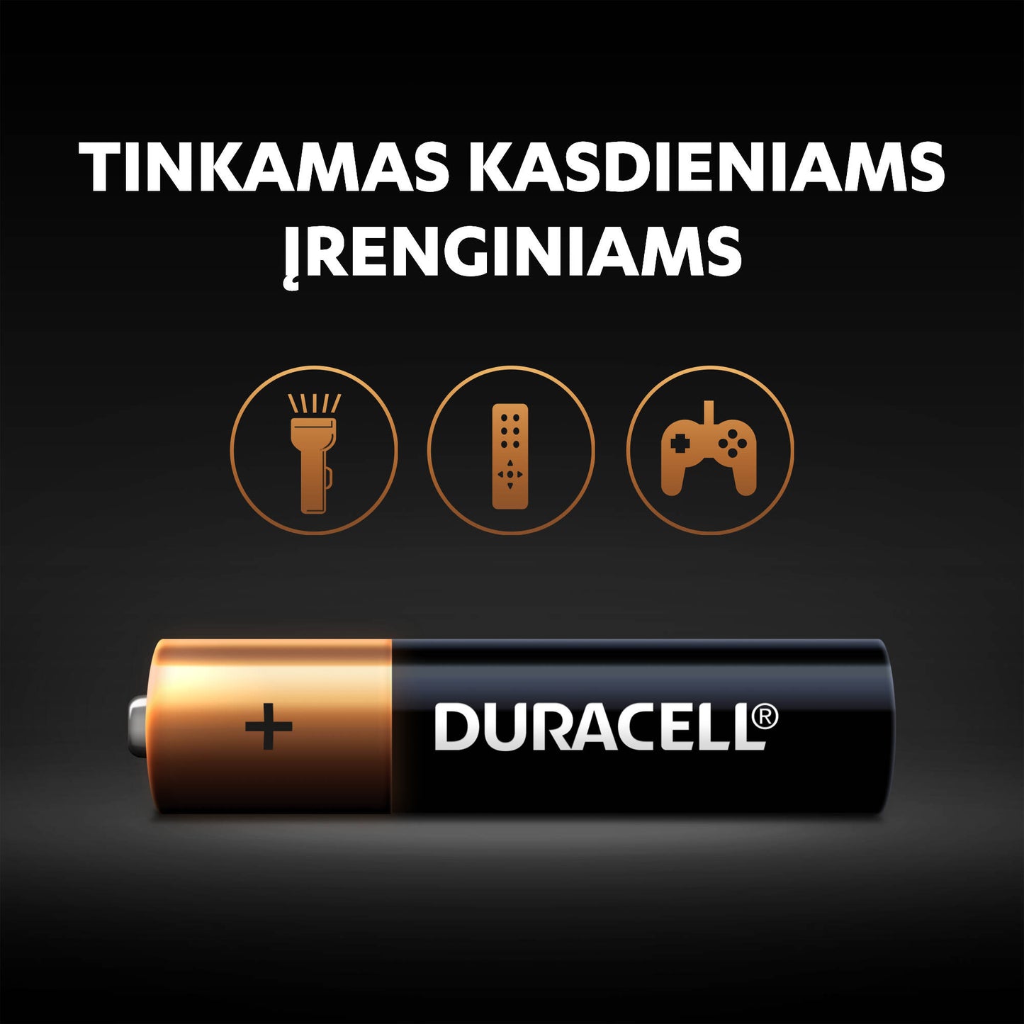 Baterijos DURACELL AAA, LR03, 2vnt