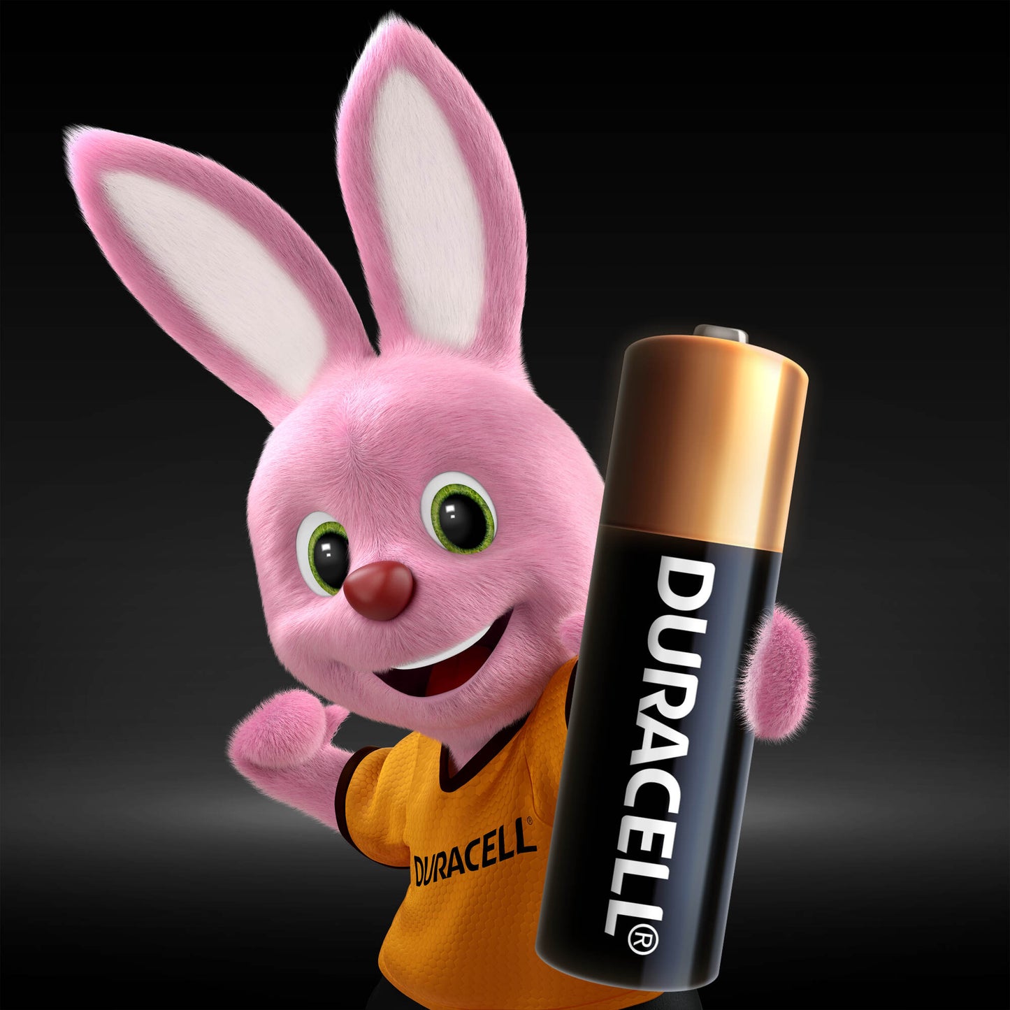 Baterijos DURACELL MN27, 1vnt