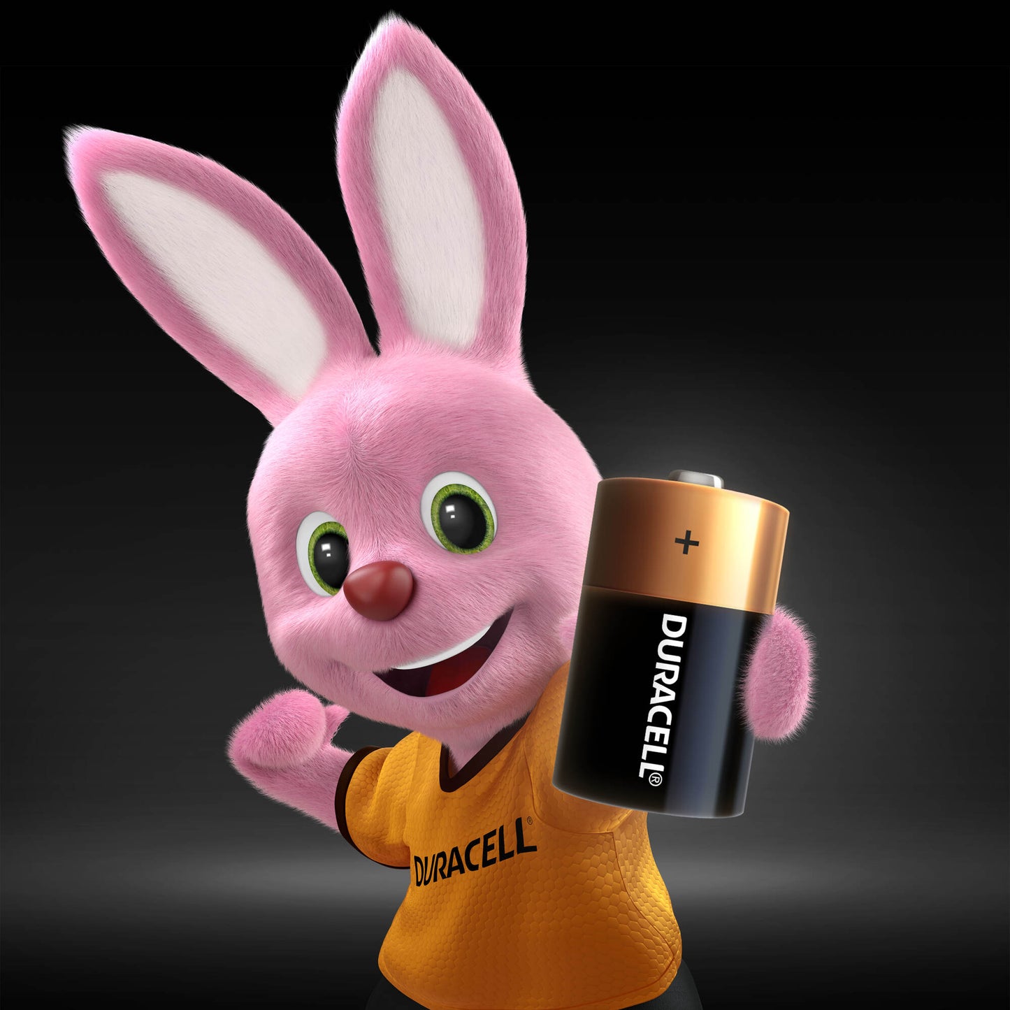 Baterijos DURACELL D, LR20, 2vnt