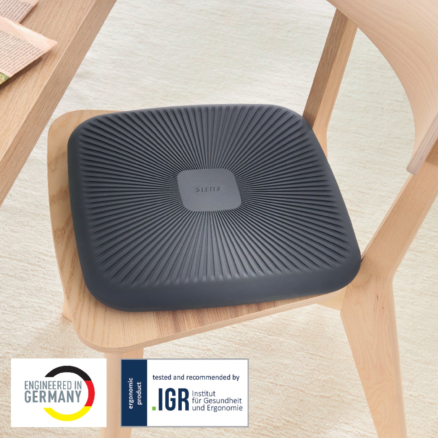 Aktyvaus sėdėjimo pagalvėlė Leitz Ergo, pilkos spalvos