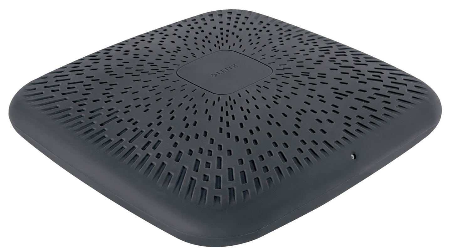 Aktyvaus sėdėjimo pagalvėlė Leitz Ergo, pilkos spalvos