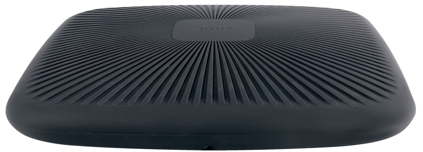 Aktyvaus sėdėjimo pagalvėlė Leitz Ergo, pilkos spalvos