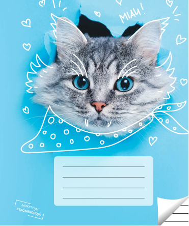 Ruled notebook, for grades 3-4, 12 pages. Inner pages weight – 90 g/m2. With rules and games.