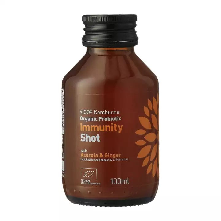 Refreshing tea drink VIGO Kombucha, Immunity shot, 0.1l, LT-EKO-001
