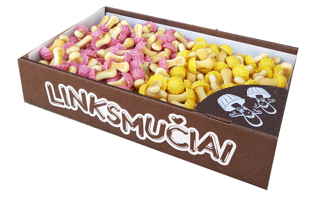 VINSMÇIAI biscuits, fruit flavoured assorted mushrooms, 1 kg