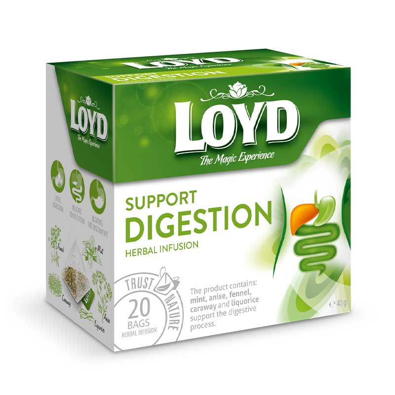Arbata LOYD Supporting Digestion 20x2g