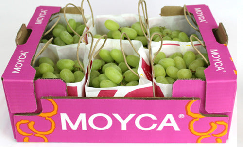 Vynuogės MOYCA, žalios, besėklės, I klasė, kg