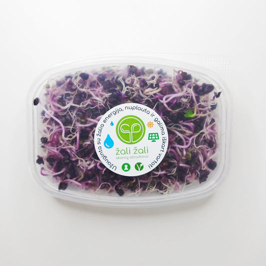 Ridikėlių daigai ŽALI ŽALI, violetiniai, 60 g