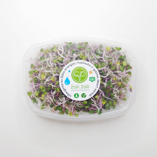 Ridikėlių daigai ŽALI ŽALI, rausvi, 60 g