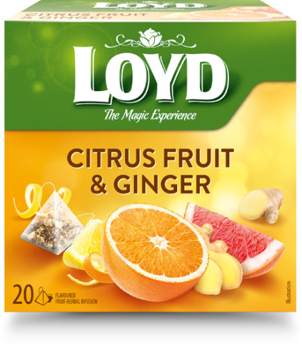 Vaisių ir žolelių arbata LOYD, imbiero ir citrusinių vaisių skonio, 20 x 2g