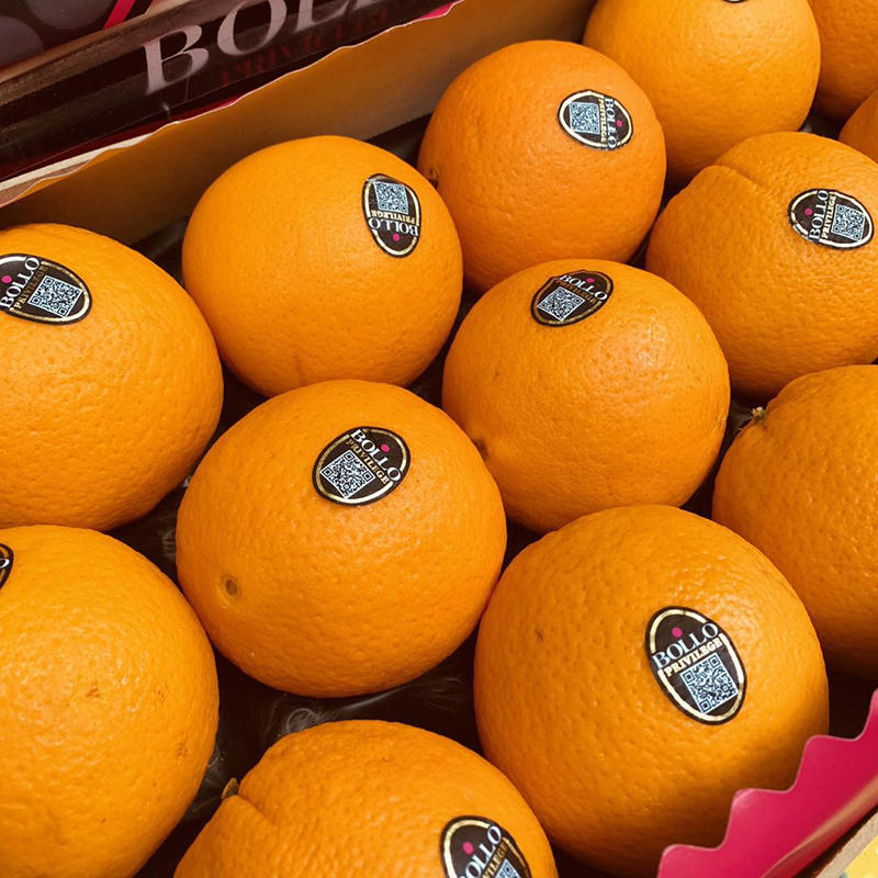 Apelsinai BOLLO, besėkliai , dideli, 42/48 dydis, I klasė, kg
