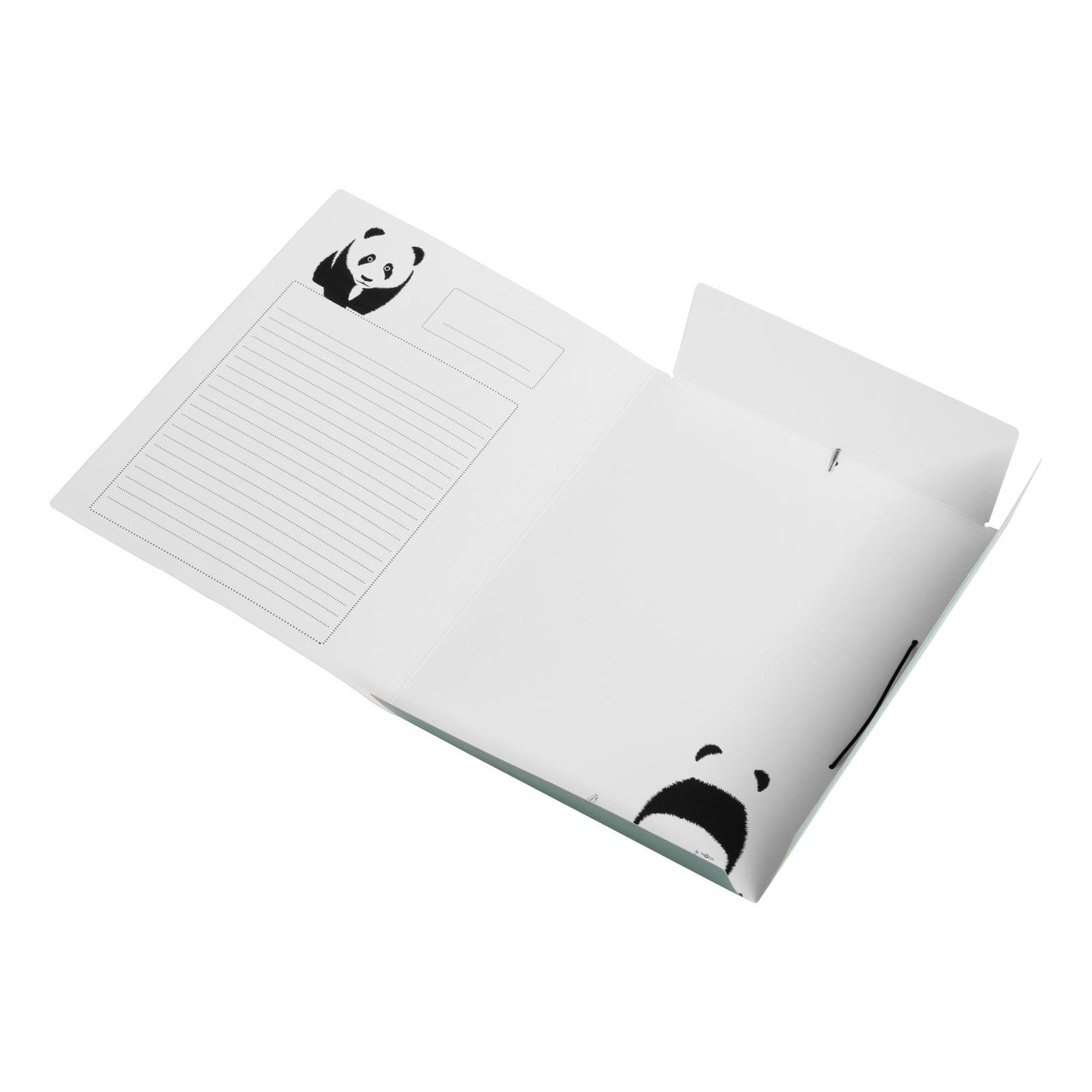 Folder for documents, notebooks PAGNA Panda, A4, with elastic, green color.