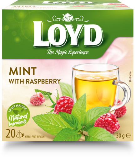 Herbal tea LOYD, mint and raspberry flavor, 20 x 1.5 g
