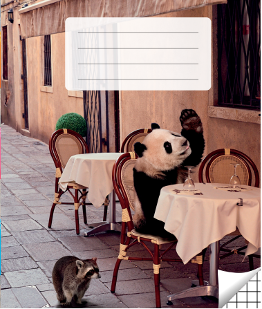 Notebook with squares, 36 pages. Inner pages weight – 90 g/m2.