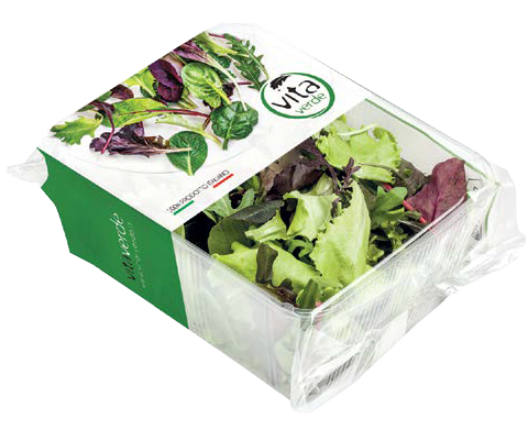 Salad mix MISTICANZA, 100 g
