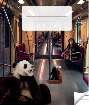 Lined notebook, 36 pages. Inner pages weight – 90 g/m2.