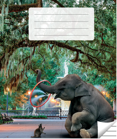 Lined notebook, 36 pages. Inner pages weight – 90 g/m2.