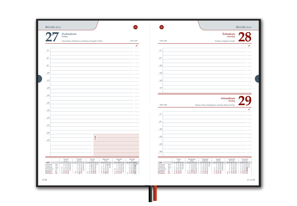 Calendar STANDARD 2026, PVC, A5, matte black LT