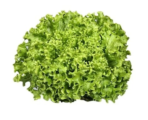 Curly lettuce, ~100g, pcs.