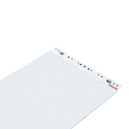 Konferencijų bloknotas ESSELTE, 590 x 830 mm, lygus, 50 lapų