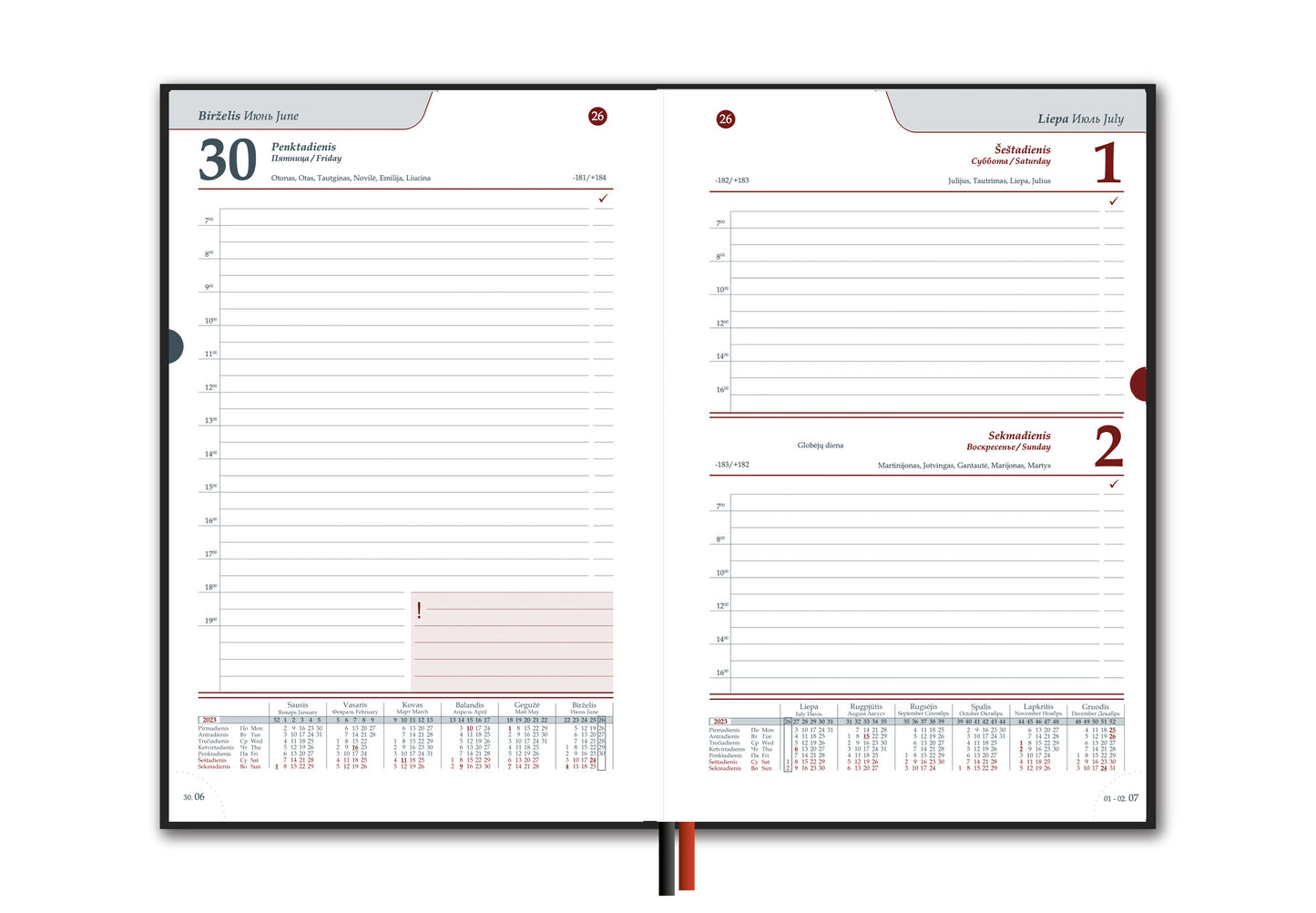 Calendar STANDARD 2026, PVC, A5, green LT