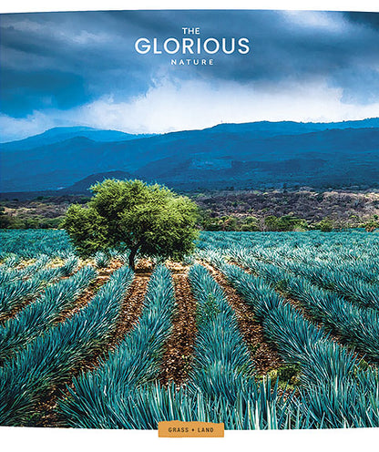 Sąsiuvinis Schoolboy, 96 lapų, langeliais, B5, 60 gsm