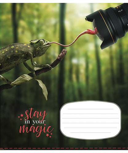 Sąsiuvinis Schoolboy, 18 lapų, linijomis, B5, 60 gsm