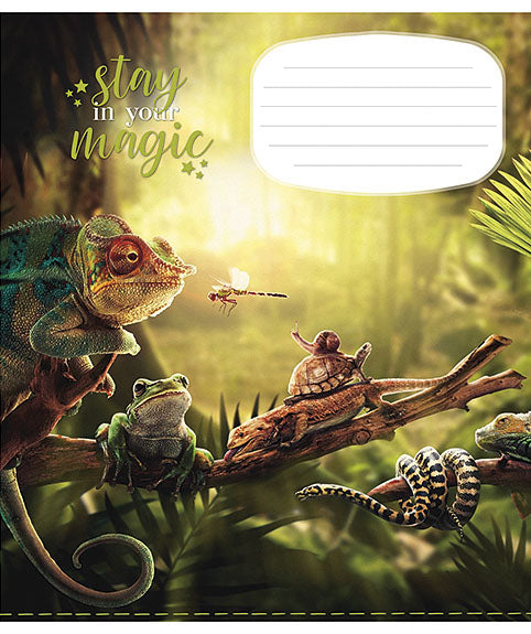 Sąsiuvinis Schoolboy, 18 lapų, linijomis, B5, 60 gsm