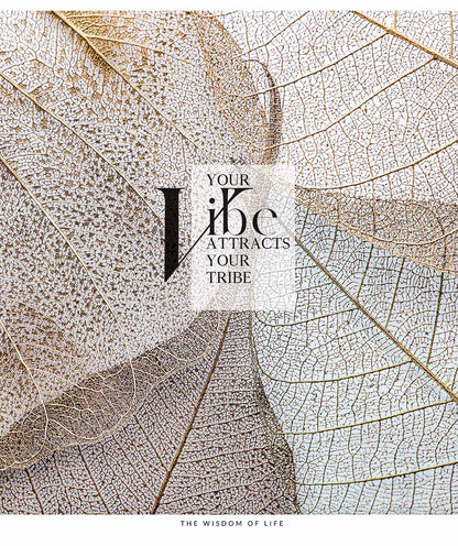 Sąsiuvinis Schoolboy, 80 lapų, langeliais, B5, 70 gsm