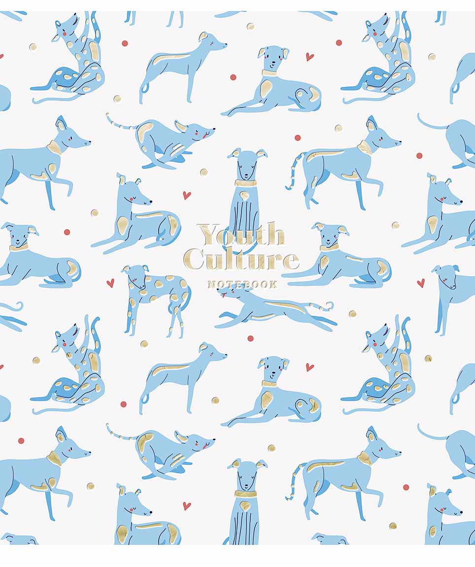 Sąsiuvinis Schoolboy, A5, 48 lapų, 70 gsm, langeliais