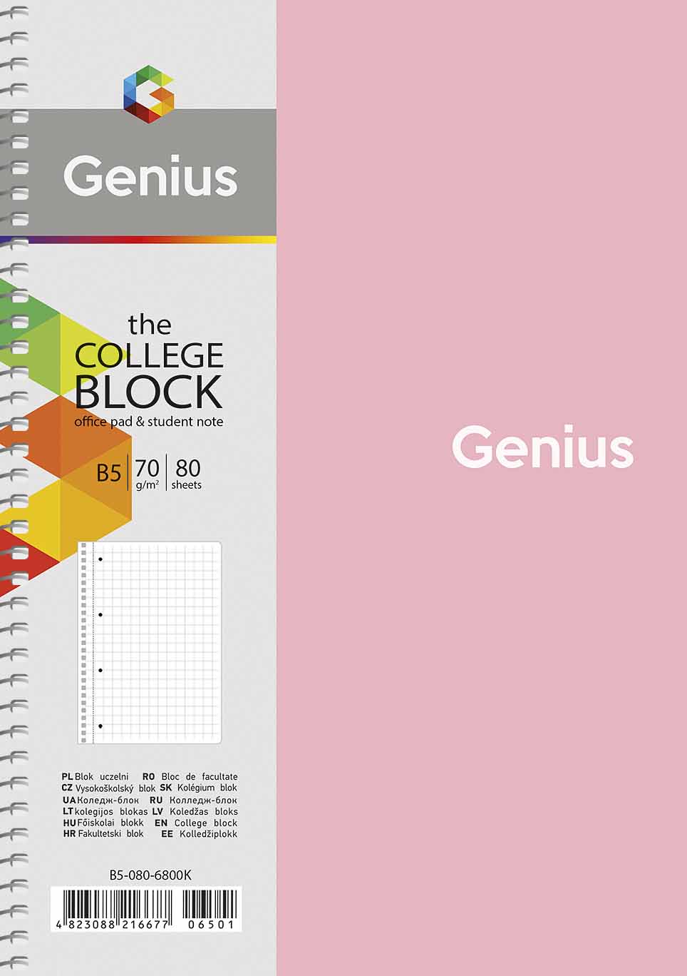 Sąsiuvinis Schoolboy, B5, 80 lapų, 70 gsm, langeliais