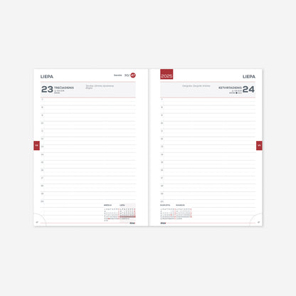 Kalendorius MOKSLO KNYGA 2025/2026, Carmen, 14 x19 cm, kartoninis viršelis