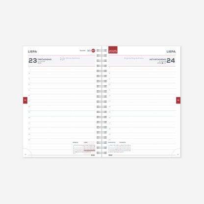 Kalendorius MOKSLO KNYGA 2025/2026 Aura, 14 x19 cm , su spirale, kartoninis viršelis