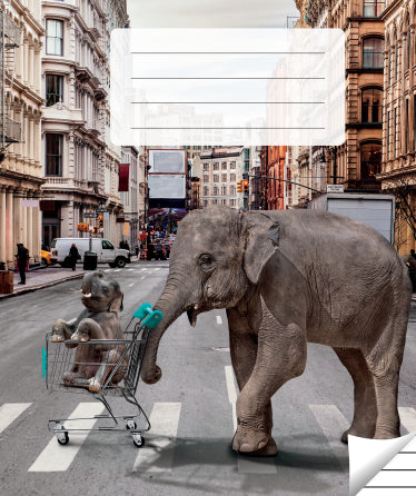 Lined notebook, 36 pages. Inner pages weight – 90 g/m2.