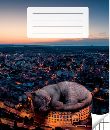 Notebook with squares, 36 pages. Inner pages weight – 90 g/m2.