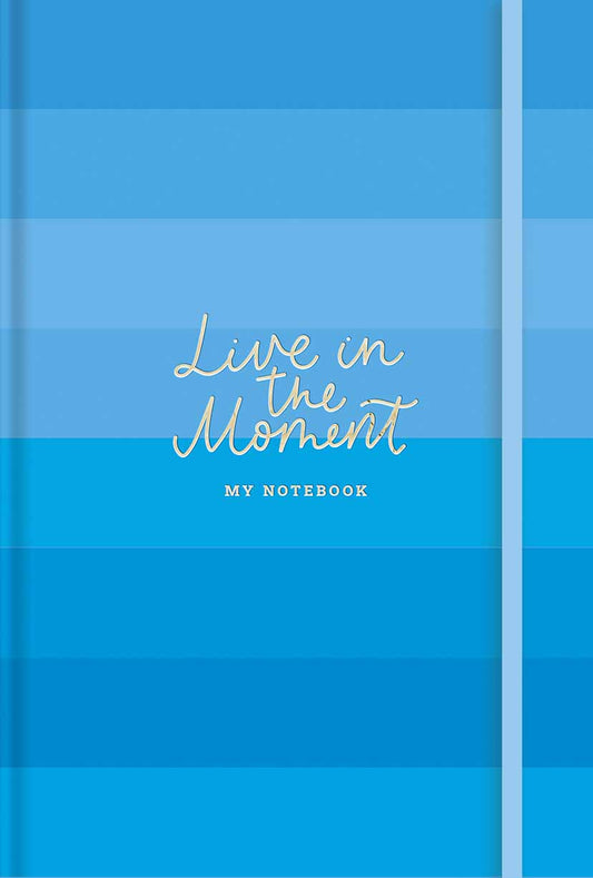 Užrašų knygelė, Schoolboy, 96 lapai, 3 linijų tipai, baltas popierius, 80 gsm, minkštas viršelis + f