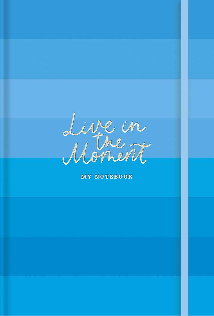 Užrašų knygelė, Schoolboy, 96 lapai, 3 linijų tipai, baltas popierius, 80 gsm, minkštas viršelis + f