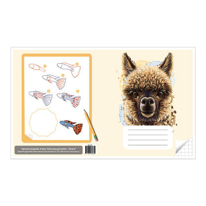 Sąsiuvinis langeliais 12 lapų. Vidinių lapų gramatūra – 90 g/m2.